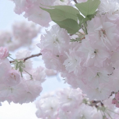 兽设拟人化设计技巧Furry群